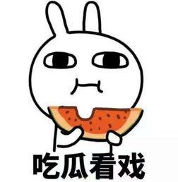 不雅吃瓜爆料文字,不雅吃瓜爆料，真相背后引人深思